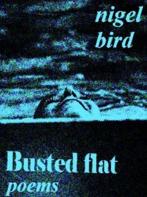 cover image of Busted Flat